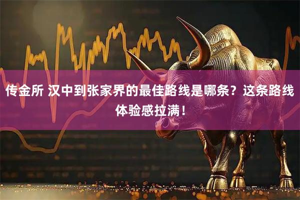 传金所 汉中到张家界的最佳路线是哪条？这条路线体验感拉满！