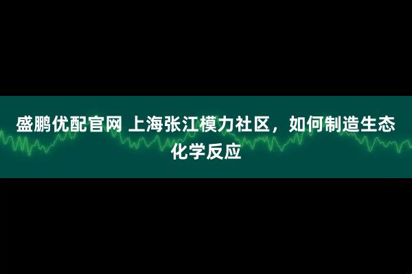 盛鹏优配官网 上海张江模力社区，如何制造生态化学反应
