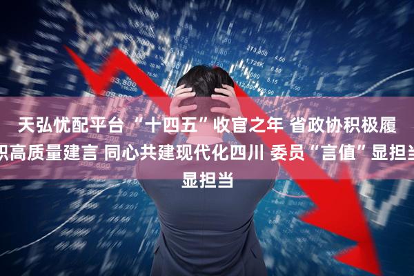 天弘忧配平台 “十四五”收官之年 省政协积极履职高质量建言 同心共建现代化四川 委员“言值”显担当