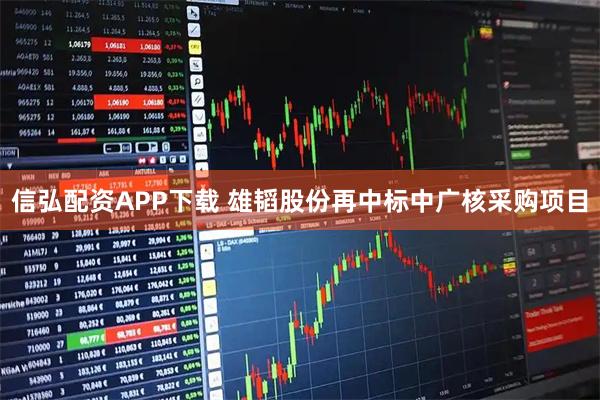 信弘配资APP下载 雄韬股份再中标中广核采购项目